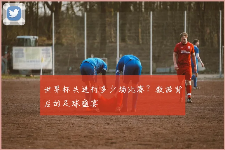 世界杯共进行多少场比赛？数据背后的足球盛宴