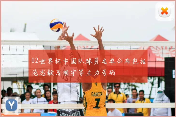 02世界杯中国队球员名单公布包括范志毅马明宇等主力号码