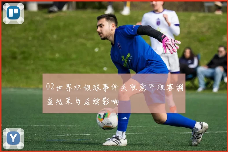 02世界杯假球事件关联意甲联赛调查结果与后续影响