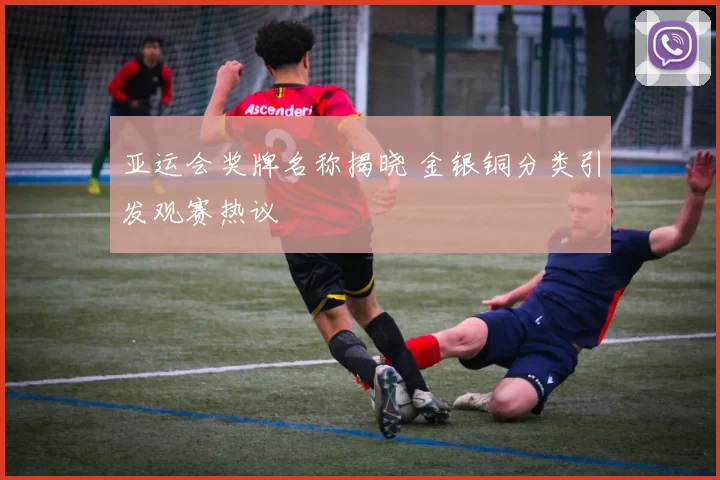 亚运会奖牌名称揭晓 金银铜分类引发观赛热议