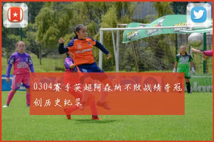 0304赛季英超阿森纳不败战绩夺冠创历史纪录