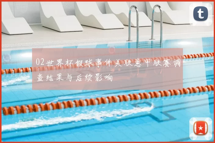 02世界杯假球事件关联意甲联赛调查结果与后续影响