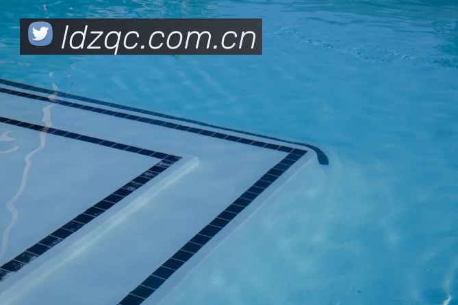 世界杯预选赛直播免费观看网站服务体系